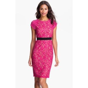 BCBG Fuchsia Lace sheath Dress